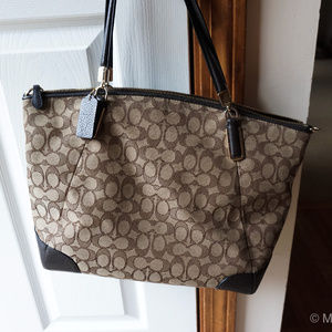 Coach Signature Mini Kelsey Satchel Crossbody Bag,